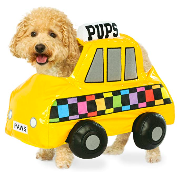 14 Pacific Northwest-Inspired Halloween Costumes for You and Your Pet
